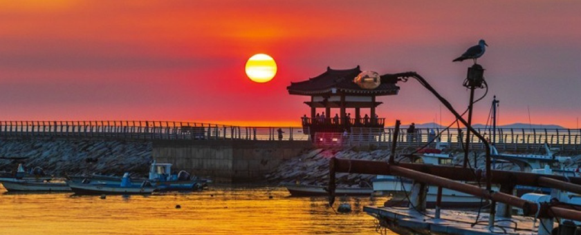 게시글 대표 이미지