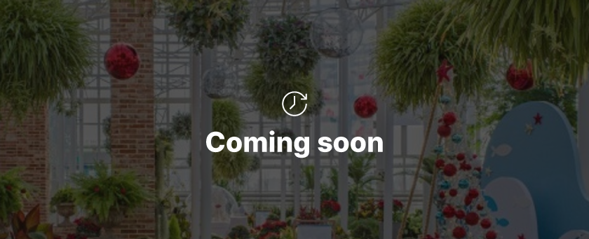 게시글 대표 이미지